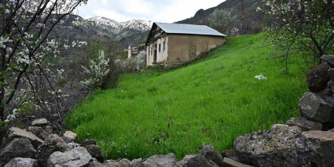 2 zıt beyaz aynı tepede buluştu! Gümüşhane’nin yüz yıllık mirası göz doldurdu 2
